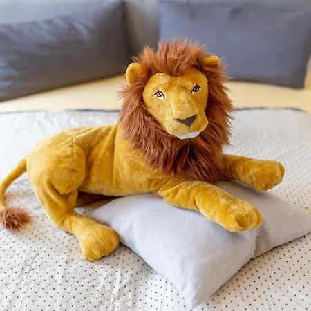 Full House - Beschickbare Chemnitz